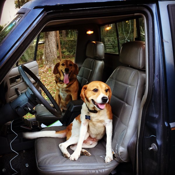 joe-and-charlie-chillin-in-the-jeep_23414853392_o.jpg