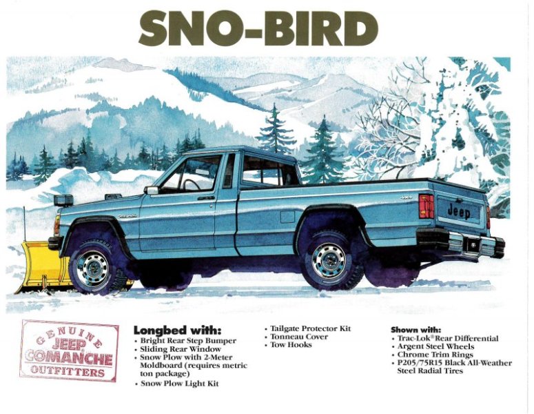 Sno-Bird.jpg.0fa1817983cc5d657e691d2f5a9bc7ee.jpg