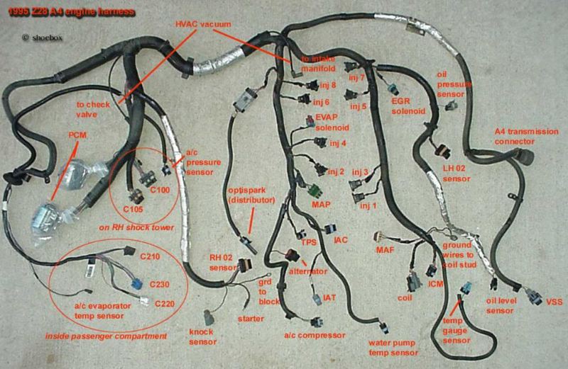 1995_Z28_engine_harness_A4_zps28810143.jpg.1bc5cac3d656f70e000887d0fa32e68f.jpg