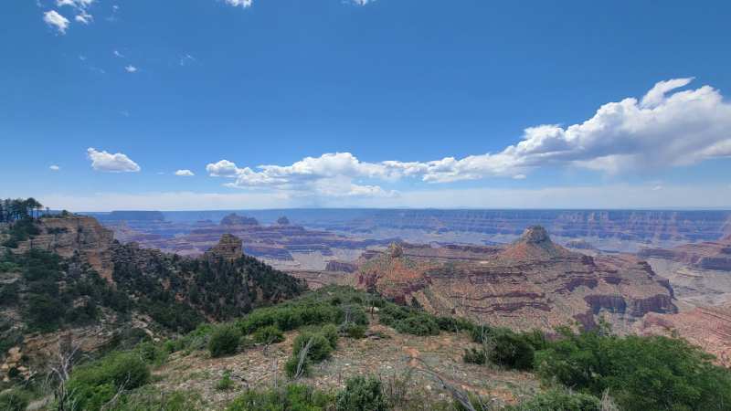20250531_111757.jpg.83cf91785522f9f07c878edcfe90dda5.jpg