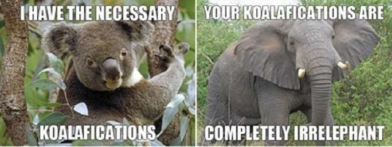 Animals1big.jpg.7b0bf0ee0f76184eb11ff470b7f845e5.jpg