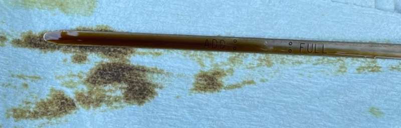DipStick.jpg.94d5a14d770cab15b0d632a364467359.jpg