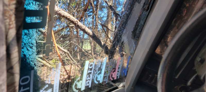 20260502_115526.jpg.73ffac410e01d10630182e45ab3e30ea.jpg
